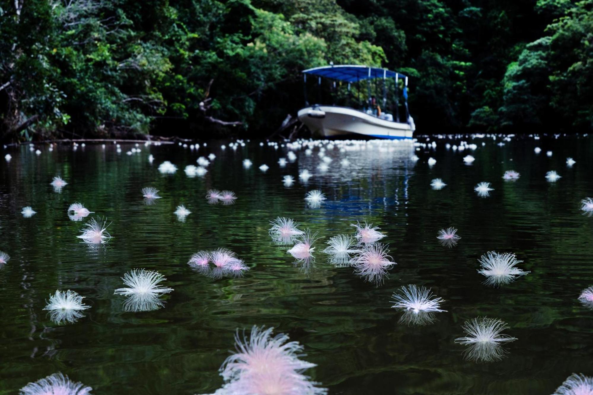 Iriomote Hotel By Hoshino Resorts Urauchi Luaran gambar