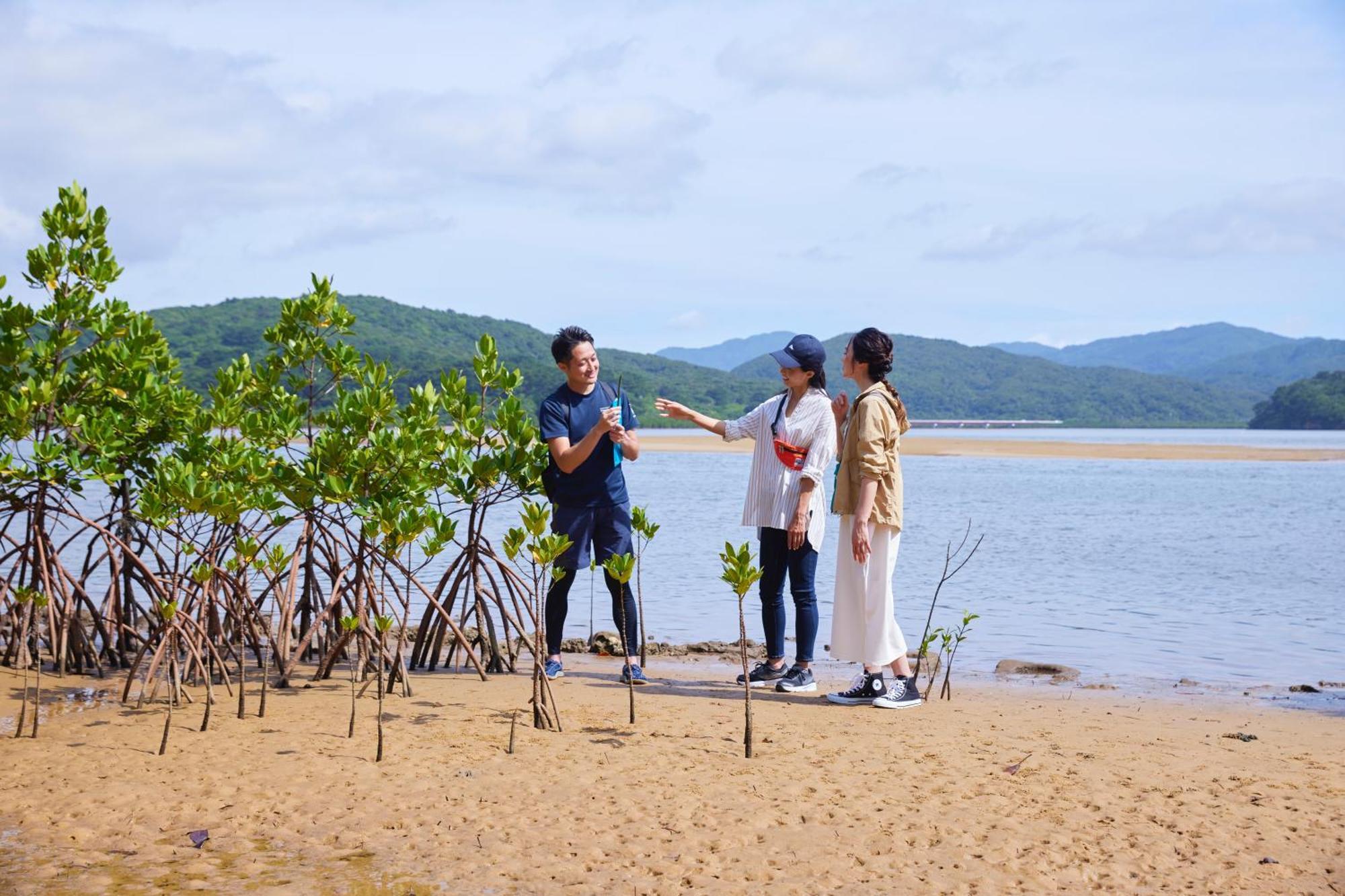 Iriomote Hotel By Hoshino Resorts Urauchi Luaran gambar
